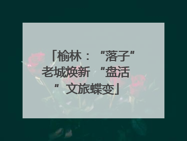 榆林：“落子”老城焕新 “盘活”文旅蝶变