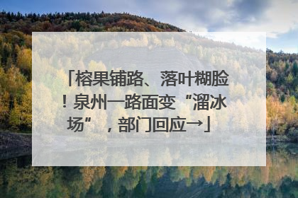 榕果铺路、落叶糊脸！泉州一路面变“溜冰场”，部门回应→