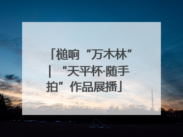 槌响“万木林”｜“天平杯·随手拍”作品展播
