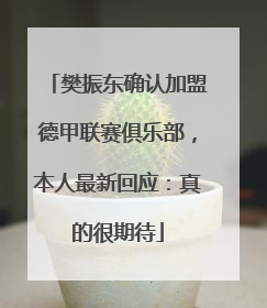 樊振东确认加盟德甲联赛俱乐部，本人最新回应：真的很期待