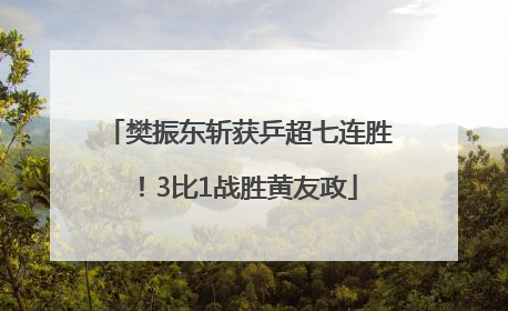 樊振东斩获乒超七连胜！3比1战胜黄友政