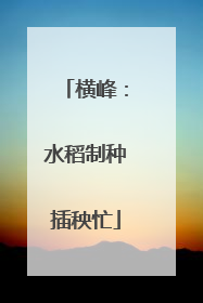 横峰：水稻制种插秧忙