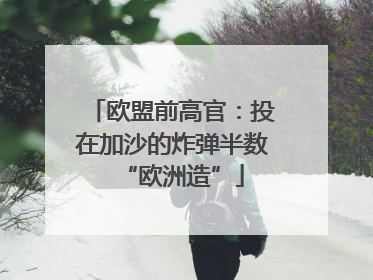欧盟前高官：投在加沙的炸弹半数“欧洲造”