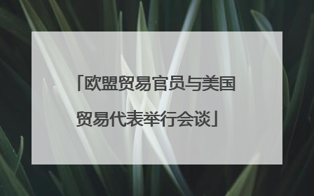 欧盟贸易官员与美国贸易代表举行会谈