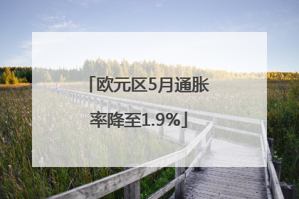 欧元区5月通胀率降至1.9%