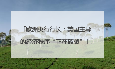 欧洲央行行长：美国主导的经济秩序“正在破裂”