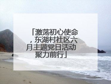 激荡初心使命，东湖村社区六月主题党日活动聚力前行