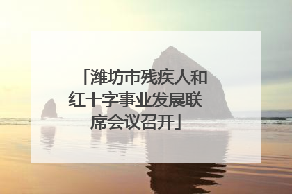 潍坊市残疾人和红十字事业发展联席会议召开