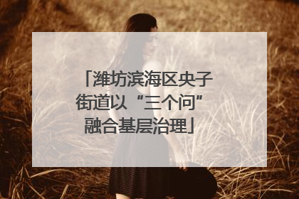 潍坊滨海区央子街道以“三个问”融合基层治理