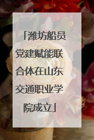 潍坊船员党建赋能联合体在山东交通职业学院成立