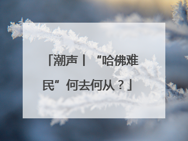 潮声丨“哈佛难民”何去何从？