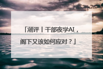 潮评丨干部夜学AI，阁下又该如何应对？