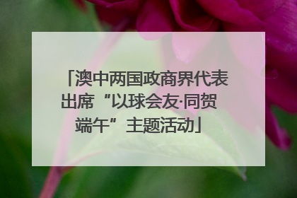 澳中两国政商界代表出席“以球会友·同贺端午”主题活动