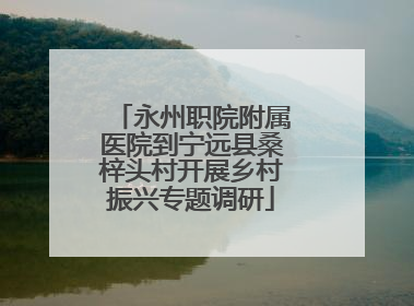 永州职院附属医院到宁远县桑梓头村开展乡村振兴专题调研