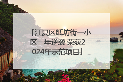 江夏区纸坊街一小区一年逆袭 荣获2024年示范项目