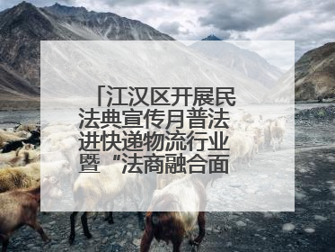 江汉区开展民法典宣传月普法进快递物流行业暨“法商融合面对面”活动