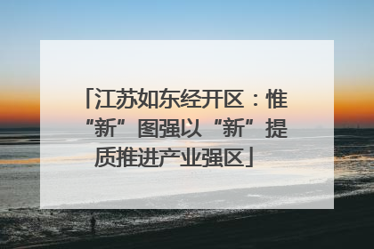 江苏如东经开区：惟“新”图强以“新”提质推进产业强区