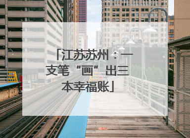 江苏苏州：一支笔“画”出三本幸福账
