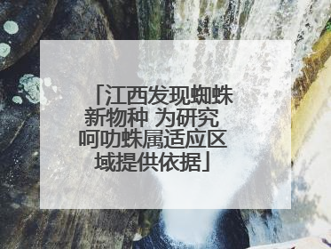 江西发现蜘蛛新物种 为研究呵叻蛛属适应区域提供依据