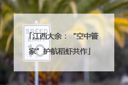 江西大余：“空中管家”护航稻虾共作