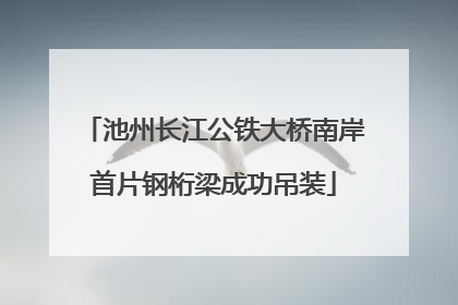 池州长江公铁大桥南岸首片钢桁梁成功吊装