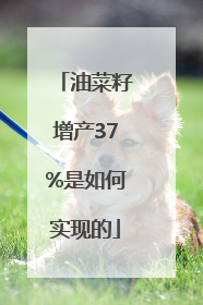 油菜籽增产37%是如何实现的