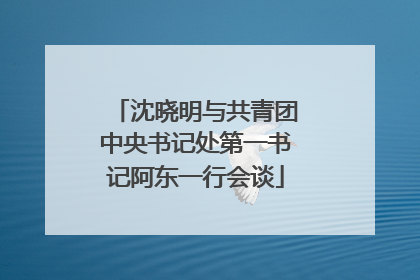 沈晓明与共青团中央书记处第一书记阿东一行会谈
