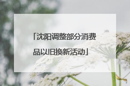沈阳调整部分消费品以旧换新活动