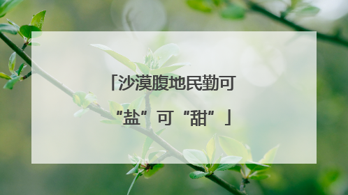 沙漠腹地民勤可“盐”可“甜”