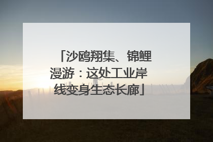 沙鸥翔集、锦鲤漫游：这处工业岸线变身生态长廊