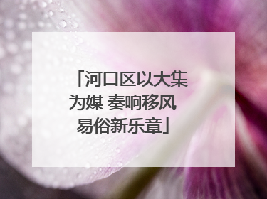 河口区以大集为媒 奏响移风易俗新乐章