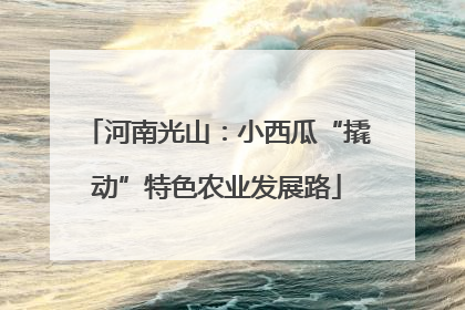 河南光山：小西瓜“撬动”特色农业发展路