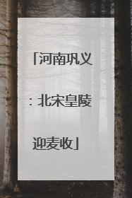 河南巩义：北宋皇陵迎麦收