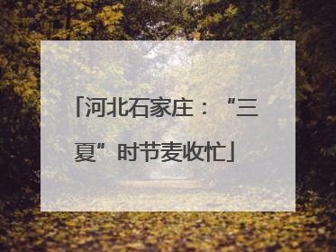 河北石家庄：“三夏”时节麦收忙