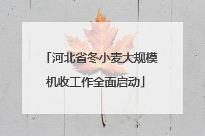 河北省冬小麦大规模机收工作全面启动