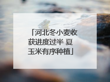 河北冬小麦收获进度过半 夏玉米有序种植