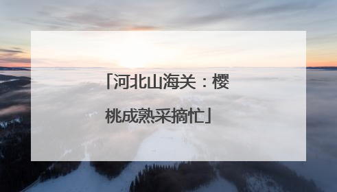 河北山海关：樱桃成熟采摘忙
