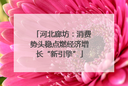 河北廊坊：消费势头稳点燃经济增长“新引擎”