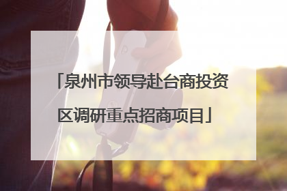 泉州市领导赴台商投资区调研重点招商项目
