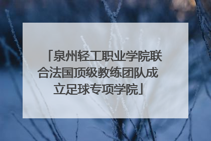 泉州轻工职业学院联合法国顶级教练团队成立足球专项学院