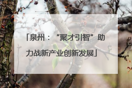 泉州：“聚才引智”助力战新产业创新发展