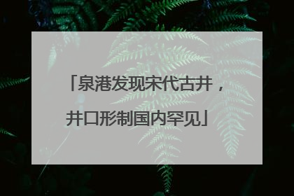 泉港发现宋代古井，井口形制国内罕见