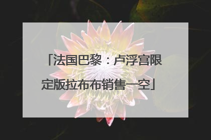 法国巴黎：卢浮宫限定版拉布布销售一空