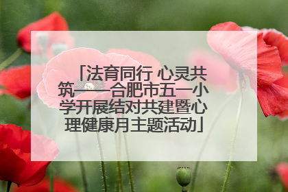 法育同行 心灵共筑——合肥市五一小学开展结对共建暨心理健康月主题活动