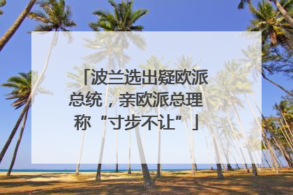 波兰选出疑欧派总统，亲欧派总理称“寸步不让”