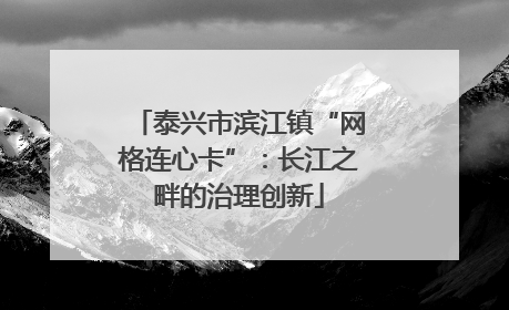 泰兴市滨江镇“网格连心卡”：长江之畔的治理创新