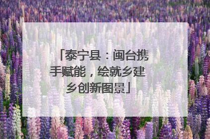 泰宁县：闽台携手赋能，绘就乡建乡创新图景