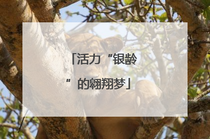 活力“银龄”的翱翔梦