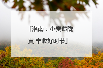 洛南：小麦覆陇黄 丰收好时节
