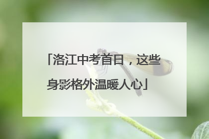 洛江中考首日，这些身影格外温暖人心